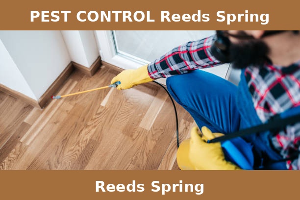 PEST CONTROL Reeds Spring